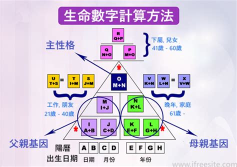 81靈動數怎麼算|生命靈數怎麼算？最完整的數字解析與計算方法，重點。